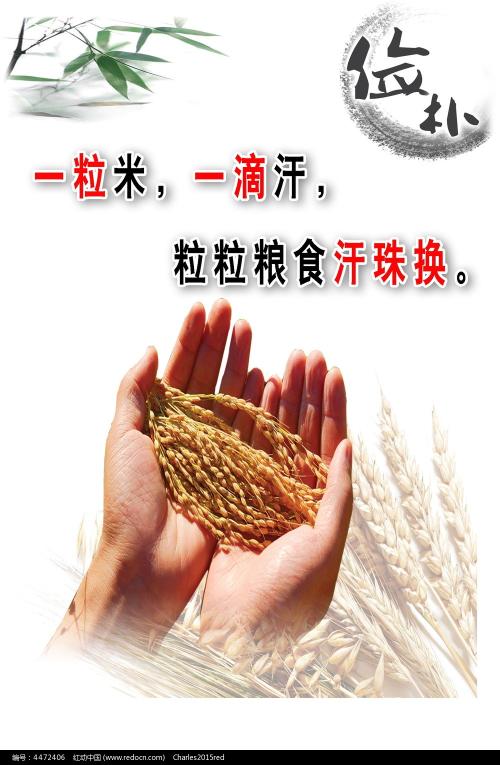 怎么做假路易斯安那州驾驶执照